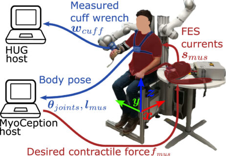 Towards entry "New publication: “Omnidirectional endpoint force control through Functional Electrical Stimulation”"