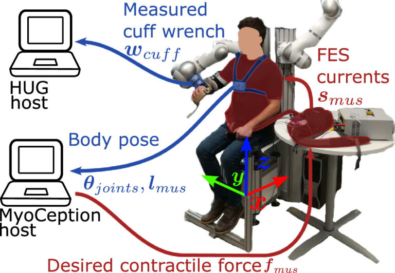 New publication: “Omnidirectional endpoint force control through Functional Electrical Stimulation”