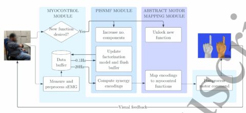 Towards entry "New paper: “Progressive unsupervised control of myoelectric upper limbs”"